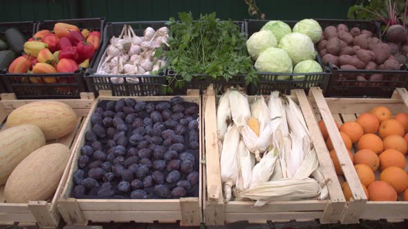 Vegetables and Fruits on the Market Counter.