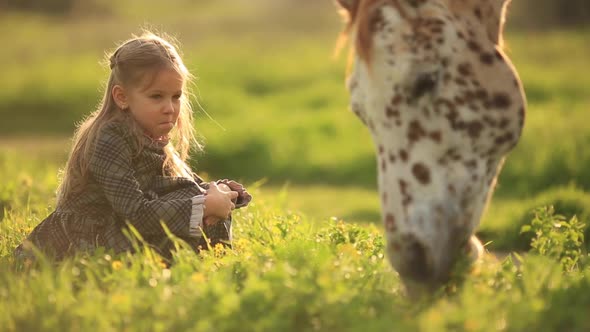 Charming Girl with Beautiful Spotted Horse