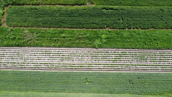 Aerial drone view of a flying over the rural agricultural landscape. alt