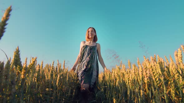 Woman Walking on a Field of Golden Wheat at Sunset Facing the Camera, A Woman Smiling and Touching alt
