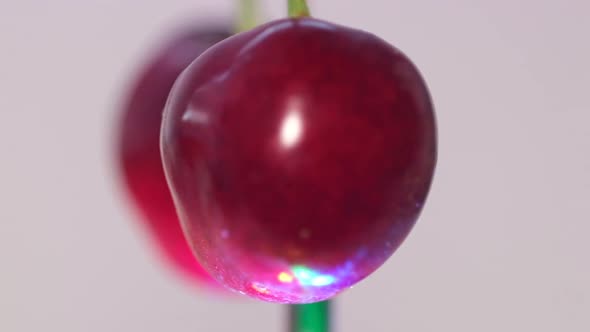 Fresh Juicy Organic Red Cherries Spin on a Background of Cherries alt