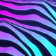 4k 3D colorful zebra pattern background - VideoHive Item for Sale