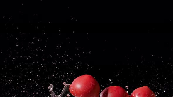 Ripe Red Delicious Tomatoes Jump Up and Flying with Water Splashes on Black Background Several Times alt