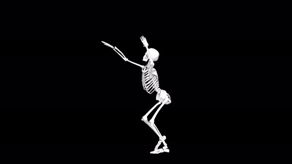 Skeleton Dance 04
