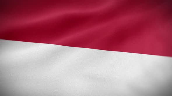 Indonesia Flag alt