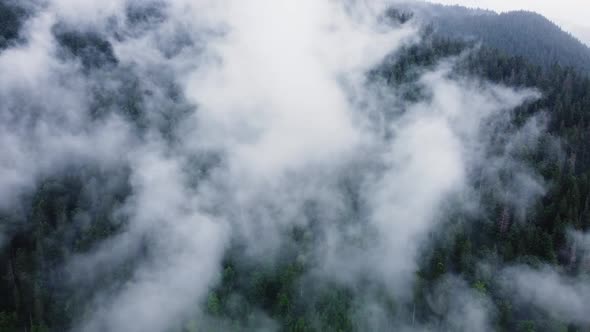 Clouds Above Mountain Forest Flying Through the Magical Spring Forest at Rainy Weather Aerial View alt