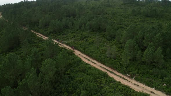 Bikers Cycling On A Road In The Middle Of Countryside With Dense Green Lush Foliage Forest Mountain
