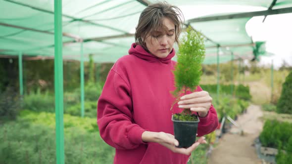 Woman Florist Checks a Beautiful Green Seedling in a Greenhouse Outdoors. Control and Research of