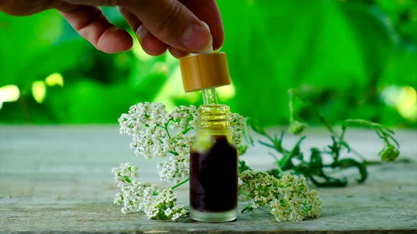 Yarrow Extract in a Small Bottle alt