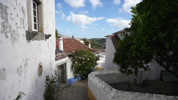 Inner Streets and Houses of Obidos Castle