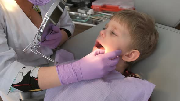 A little boy in a dental chair. Woman dentist shows the patient a mirror.