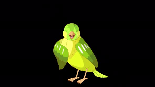 Singing Green canary alpha matte 4K