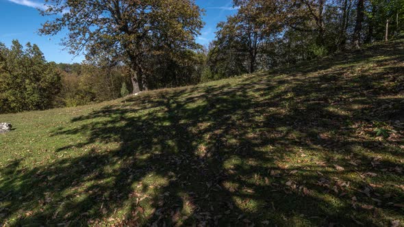 Dolly Nature Time Lapse alt