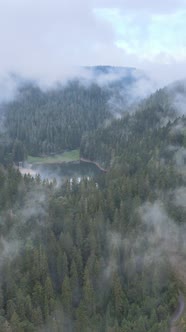 Vertical Video of Fog in the Mountains alt