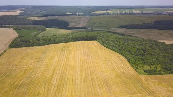 Aerial view of yellow agriculture wheat field ready to be harvested in late summer. alt