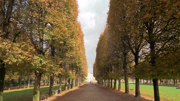 Autumn Scene of Tree Lined Promenade in Luxembourg Gardens Paris France alt
