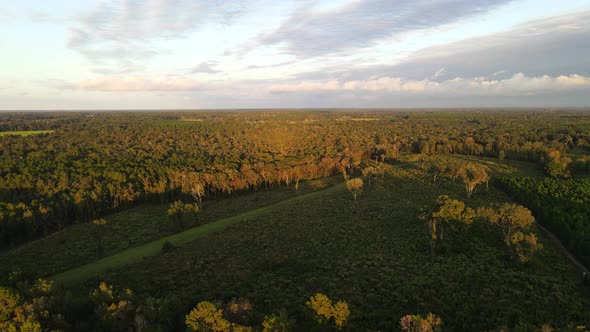aerial footage forest in georgia state during golden hour late summer alt