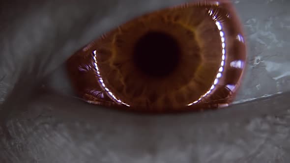 Blinking Eye With An Iris Of Different Colors With Ring Light In Closeup