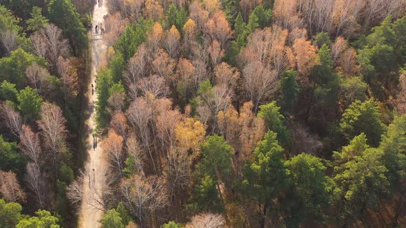 People Walk in the Park on a Warm Autumn Day alt