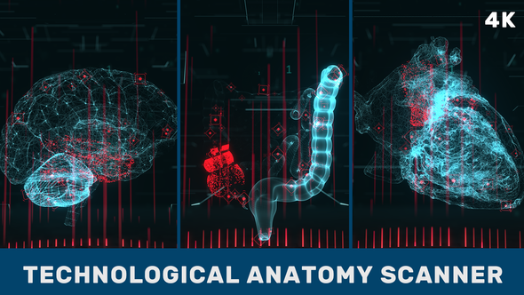 Technological Anatomy Scanner. Part 2