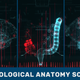Technological Anatomy Scanner. Part 2 - VideoHive Item for Sale