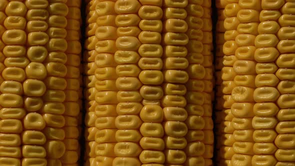 Closeup view on ready yellow corn. Above view