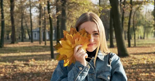 Beautiful Smiling Woman in Jeans Jacket Holding a Fallen Maple Leaves Near Her Face in Yellow Autumn