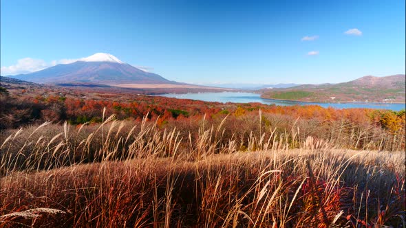 Beautiful nature in Kawaguchiko with Mountain Fuji in Japan alt