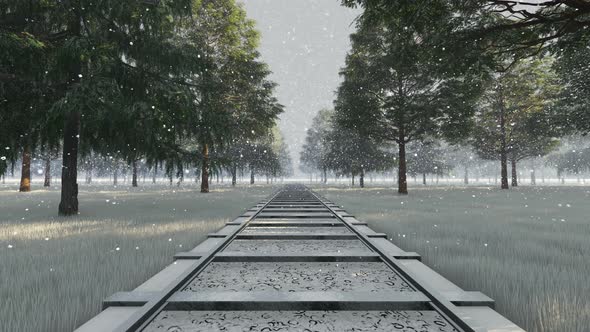 Snowy Railway alt