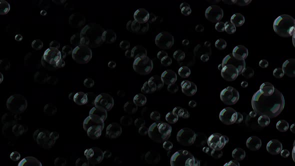 A large number of bubbles fly in the air on a black background
