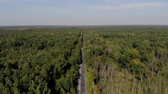 Aerial of Road in Forest