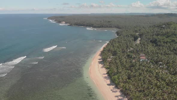 aerial drone view of paradise island of siargao in the philippines. clear turquoise water, palm tree alt