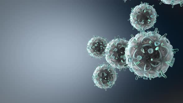 Animation of flowing HIV Viruses