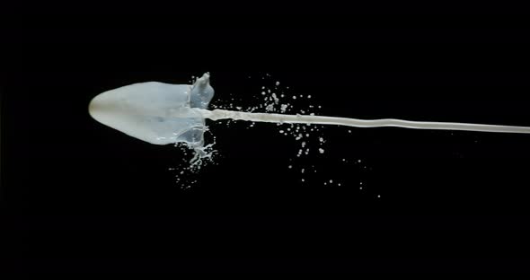 Milk Exploding and Splashing on Black Background, Slow Motion 4K alt