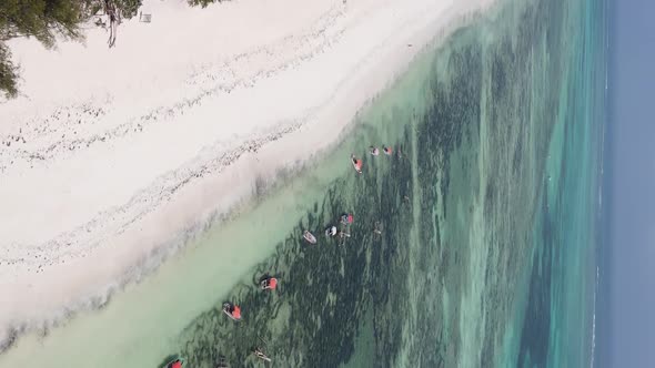 Vertical Video of the Ocean Near the Coast of Zanzibar Tanzania Aerial View alt