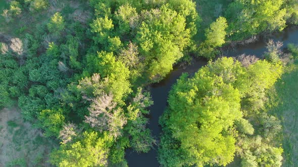 Wild River Aerial Drone Shot