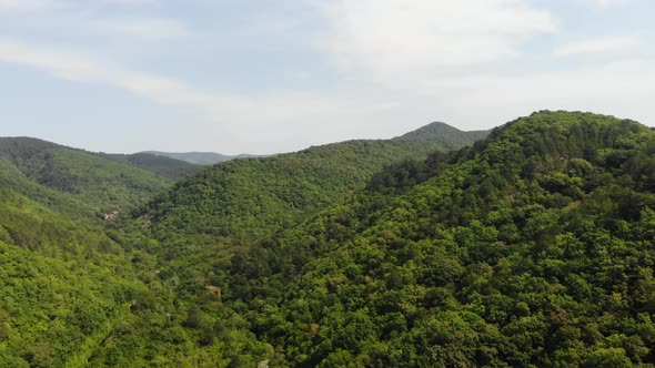 Flying over the forest and Caucasus mountains. alt