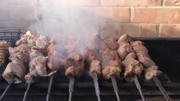 Closeup of Cooking a Delicious Grilled Dish on the Grill