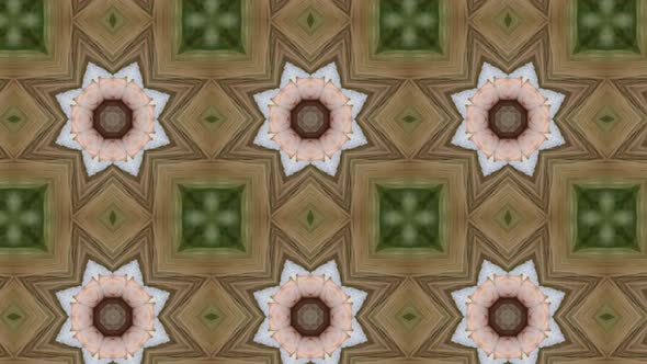 Great Floral Elegant Kaleidoscope Footage