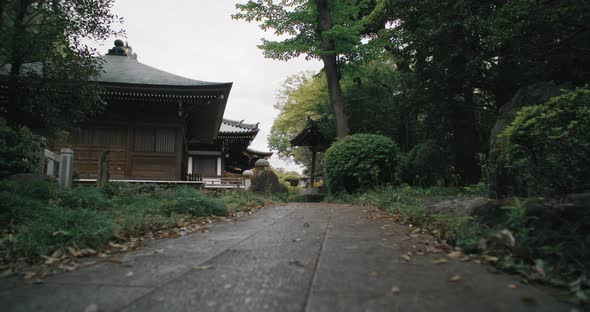  Japanese Temple 