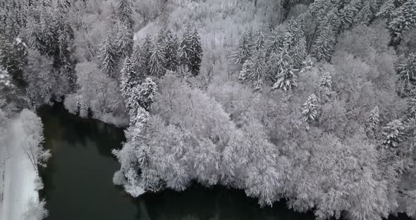 Backwards flight from a forest covered in snow to a small reservoir in the middle of the forest. alt