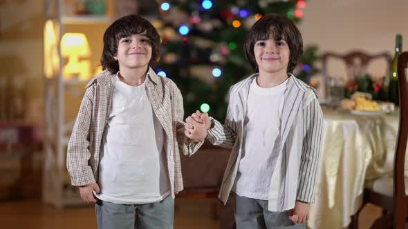 Portrait of Cheerful Middle Eastern Twin Brothers Holding Hands Looking at Camera Smiling on New alt
