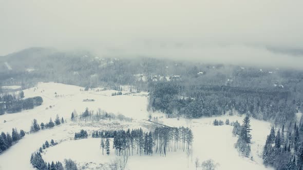 Foggy Winter Landscape - Drone Flying  4K - Mountains - Trees, rivers, snowy - Cinematic trees alt