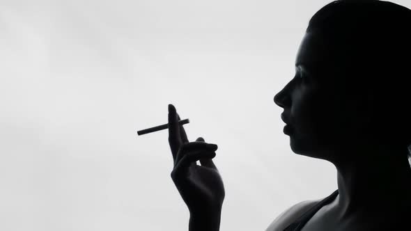 Sexy Young Woman Smoking Cigarette, Seductive Lady in Bar, Female Silhouette alt