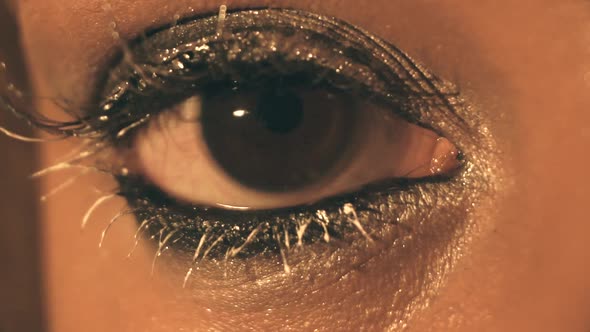 Beautiful Woman Eye Make-up Close-up