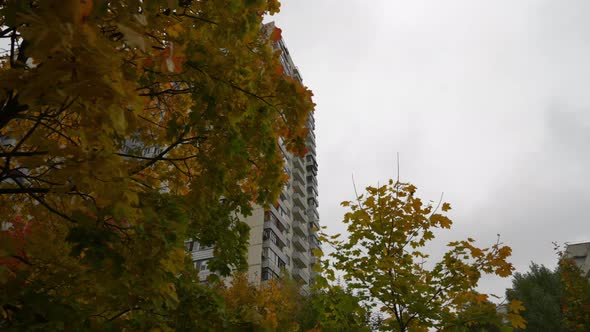 Highrise Residential Building and Autumn Landscape