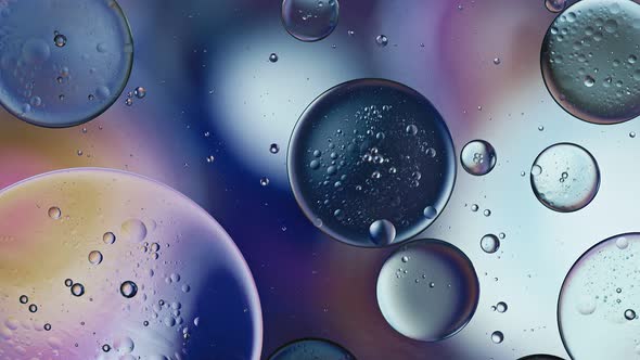 Abstract Colorful Food Oil Drops Bubbles 192 alt