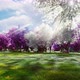 Beautiful Spring - VideoHive Item for Sale