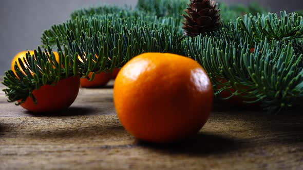 The Abies nobilis branch  alt