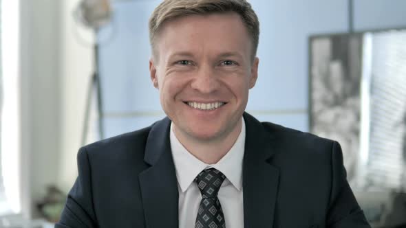 Portrait of Smiling Businessman alt